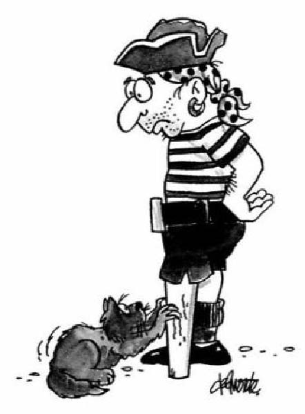 Chat de pirate-humourenvrac